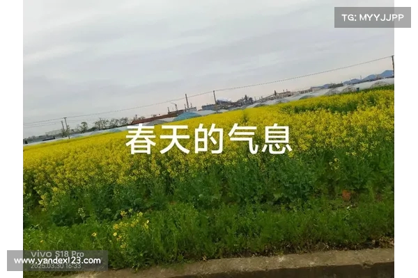 抓住冬季尾巴迎接春天的到来,忙中有序,踏春而行 抓住冬季尾巴迎接春天的到来,忙中有序,踏春而行